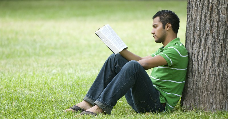 man reading Bible outside by tree on green grass