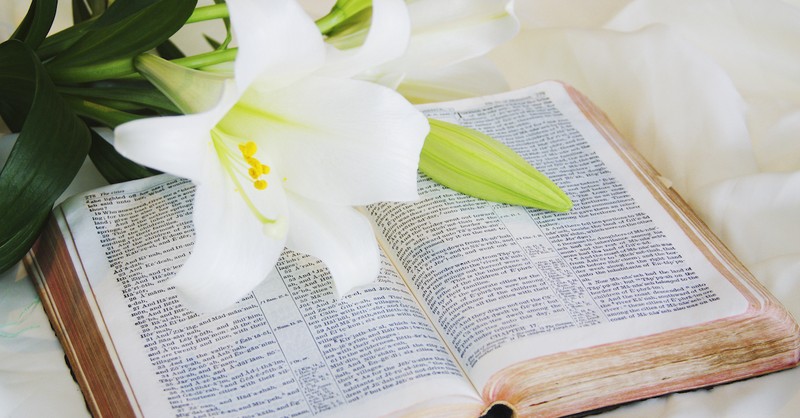 Bible Verse Discussions and Activities for this Easter