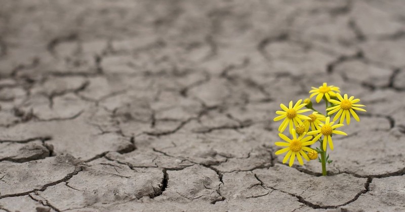 How to Grow in Grace No Matter What You Face