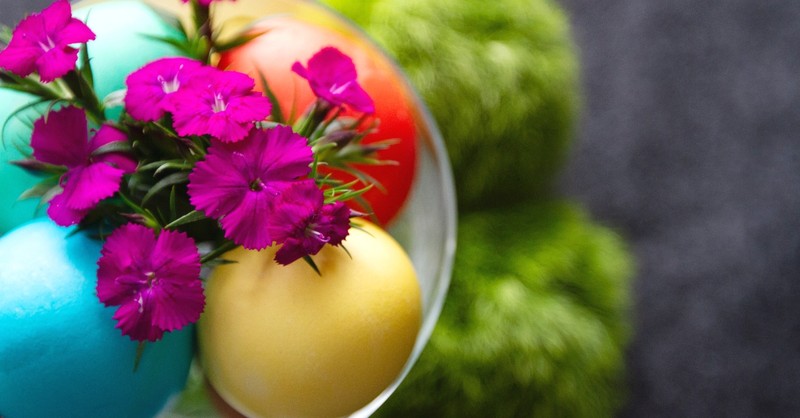 Easter eggs and purple flowers