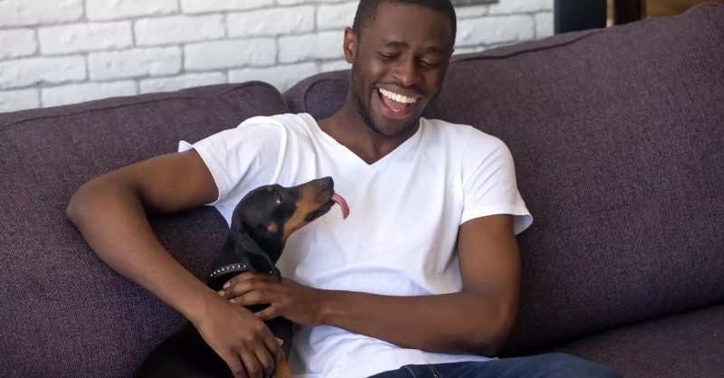 Man laughing with his pet dachshund
