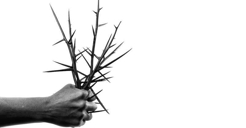 hand holding thorns, prayer for pain
