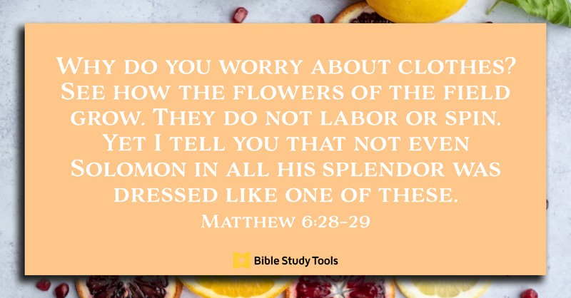 How Springtime Flowers Teach Us (Matthew 6:28–29) - Your Daily Bible Verse - May 3