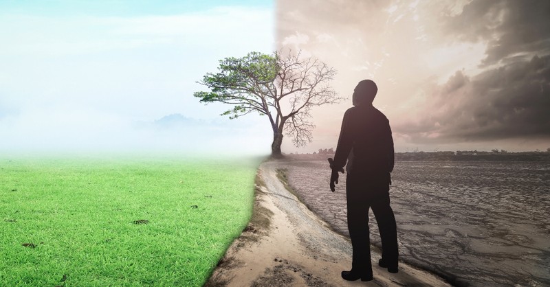 Man in sparse field looking at a lush field