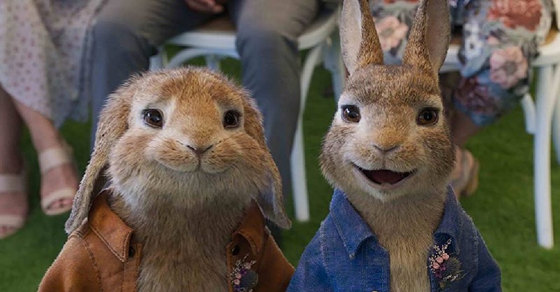 In 'Peter Rabbit,' The Bunny's A Bro : NPR