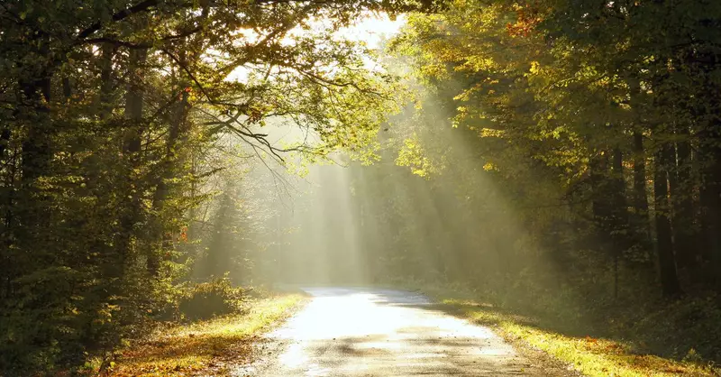 What Is the Significance of Paul on the Damascus Road?