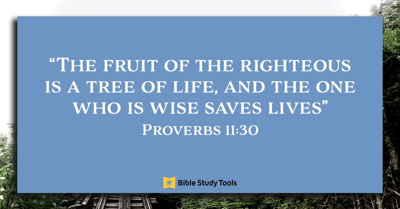 The Key To Living Wisely (Proverbs 11:30) - Your Daily Bible Verse - August  28 - Daily Devotional