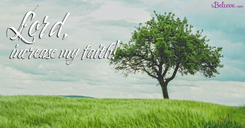 77 Bible Verses About Faith To Encourage You Today