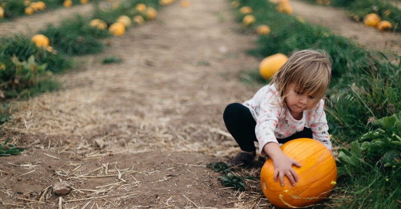 16 Fun Fall Activities for the Family