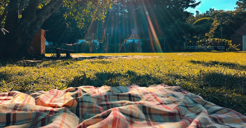 Picnic blanket set up outside on a sunny day