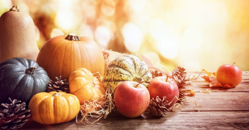 What Is the History of Thanksgiving? 