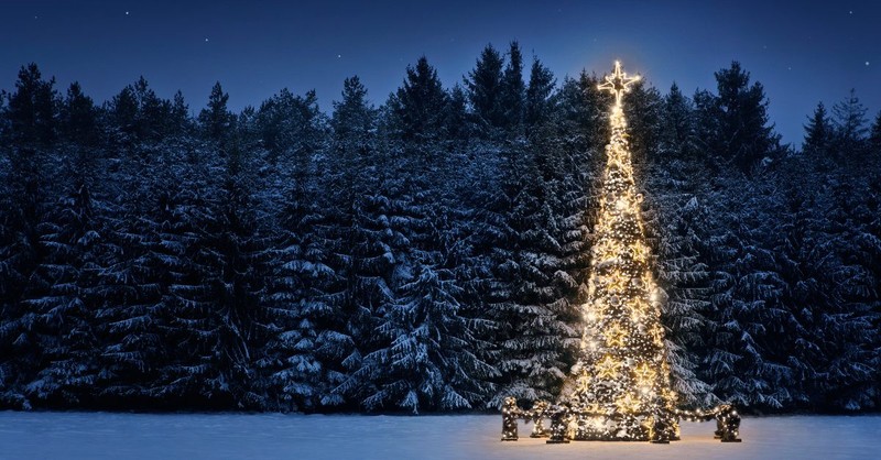 Is the Origin of Christmas Truly Rooted in Pagan Traditions?