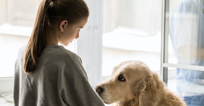 Child grief dog loss