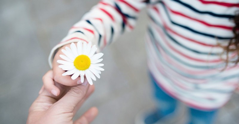 Little girl handing someone a daisy