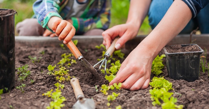 Parent and child gardening