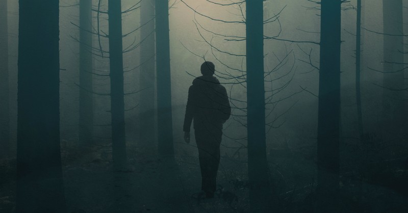 Man walking in foggy trees