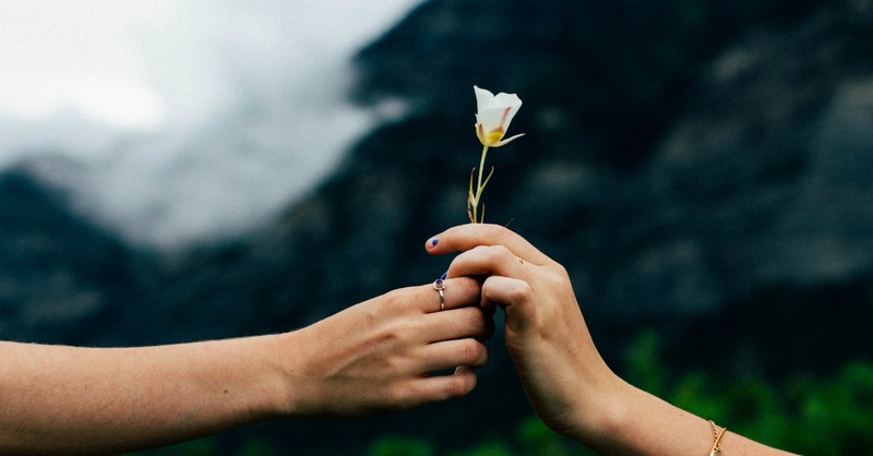 hand giving a flower, psalms of peace