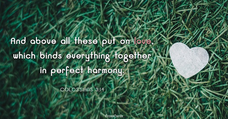 put on love bible verse colossians 3 14