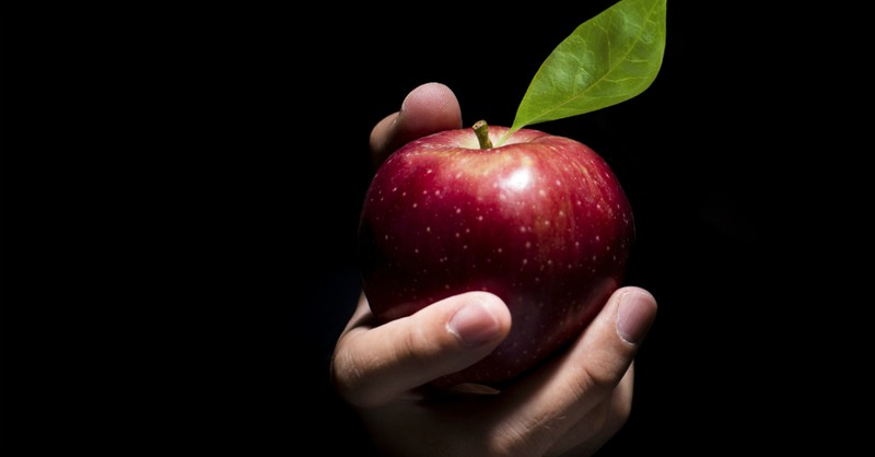 Hand in the dark offering an apple