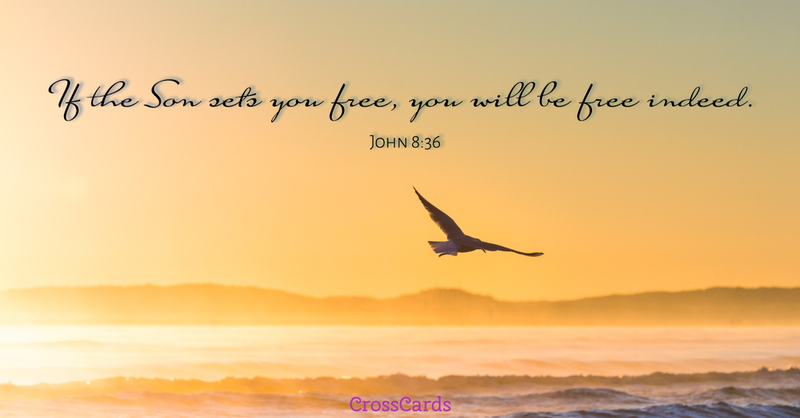 Your Daily Verse - John 8:36