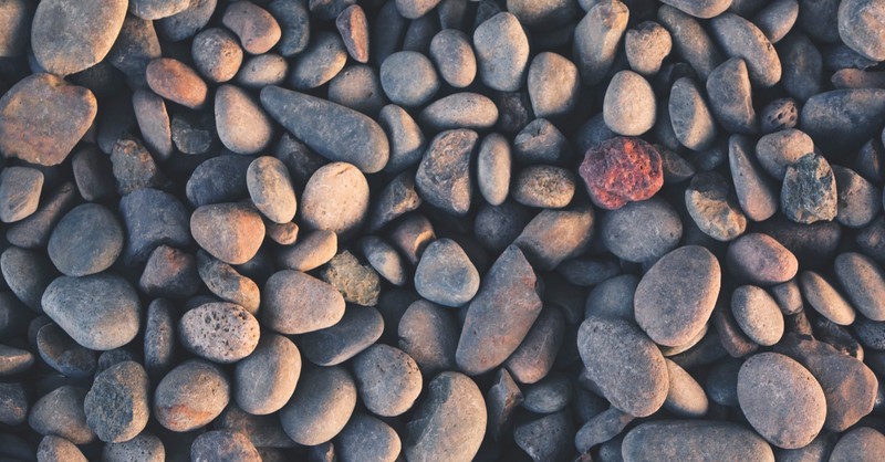 sunlit beach pebbles and rocks