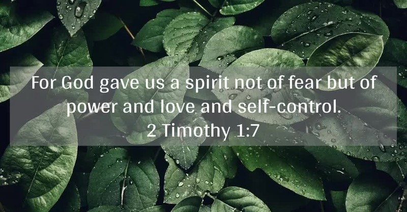 2 Timothy 1:7 written out of green leaves background