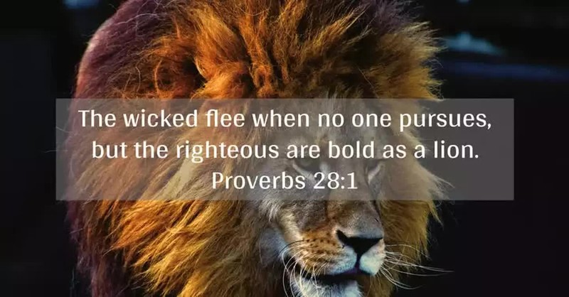 Proverbs 28:1 text written out over lion background