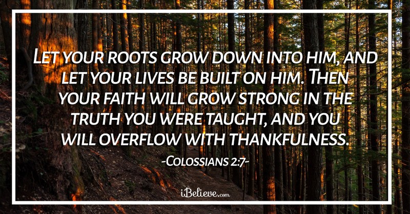 7. Colossians 2:6-7