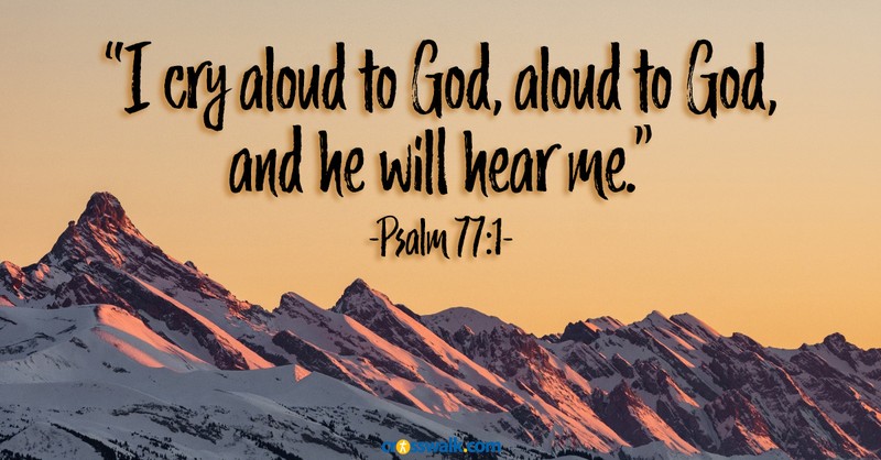 14. Have I Asked God to Bless My Plans, or Asked Him to Show Me What His Plans Are?