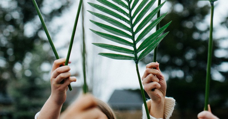 palm branches, holy week reading plan