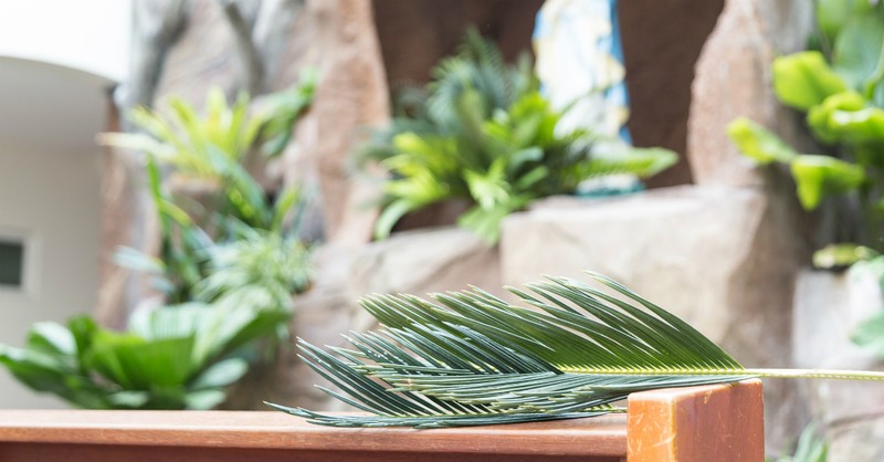 palm branch on bench, holy week reflections palm sunday