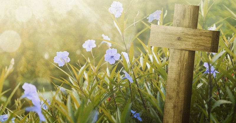 field of grass with purple flowers and wooden cross, goodness of god
