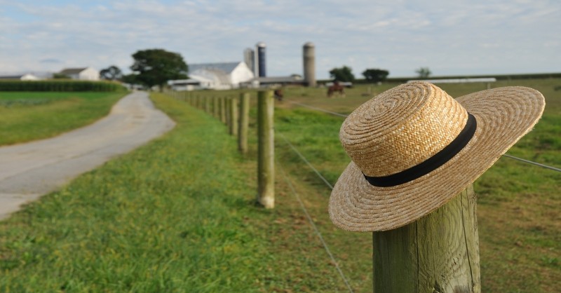 Amish hat on fence, Mennonite vs Amish