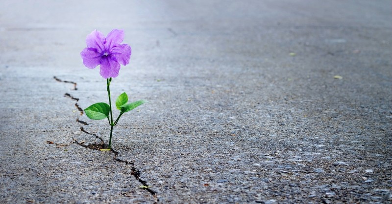 Why Do We Need to ‘Contend for the Faith’?