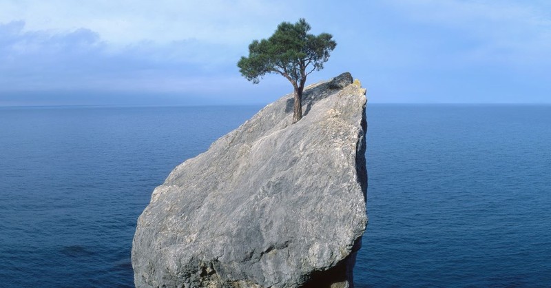 tree on rock surrounded by water, rock of ages hymns about heaven