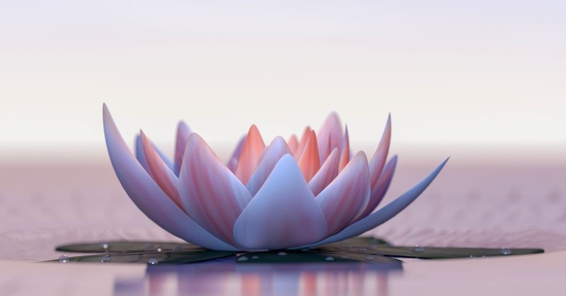 What Is the Meaning of a Lotus Flower in Christianity?