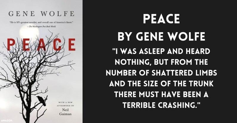 Book cover Peace by Gene Wolfe "I was asleep and heard nothing, but from the number of shattered limbs and the size of the trunk there must have been a terrible crashing." horror novels by christians