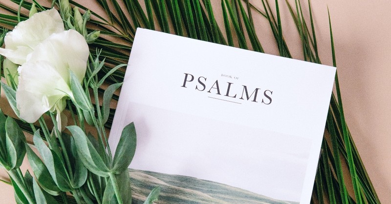 What Is The Meaning Of Psalm 91 And Why Is It Popular 