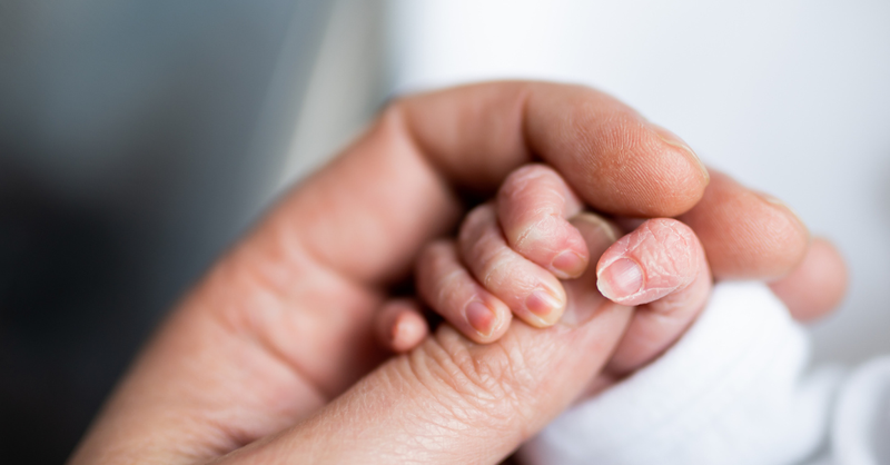 Newborn and Adult holding hands.