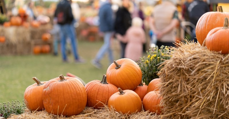 fall festival, ways to redeem halloween