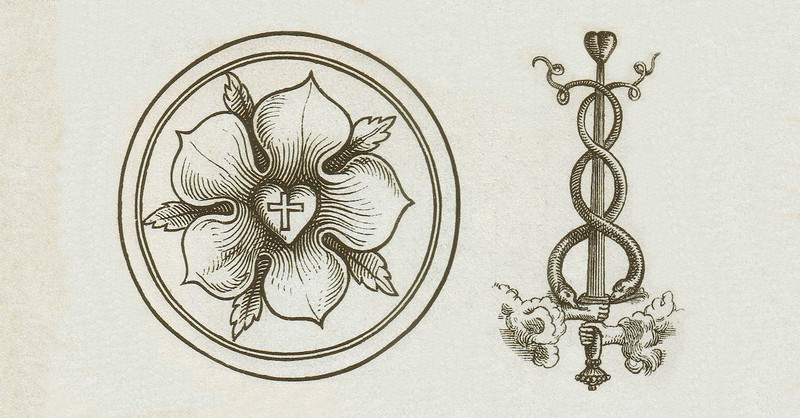 Luther rose design