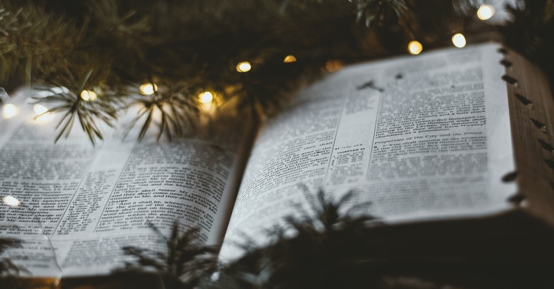 An open Bible under Christmas tree branches and lights