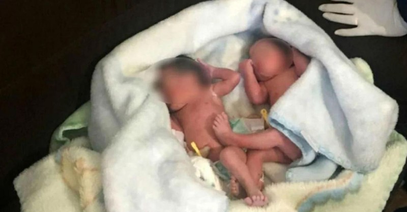 Sound of Puppies Crying Turns out To Be Abandoned Newborn Twins