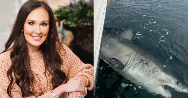Pastor Ed Young Opens up about Losing Daughter & Comfort from an Unlikely Source: a Shark