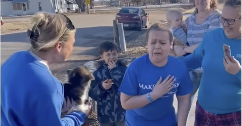 Child Fighting Cancer Overwhelmed When He's Presented with a Puppy