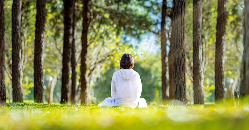 outside outdoors park trees nature sitting alone quiet solitude healing