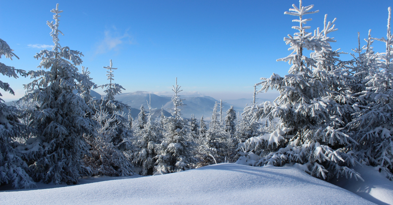 winter landscape snow forest peaceful