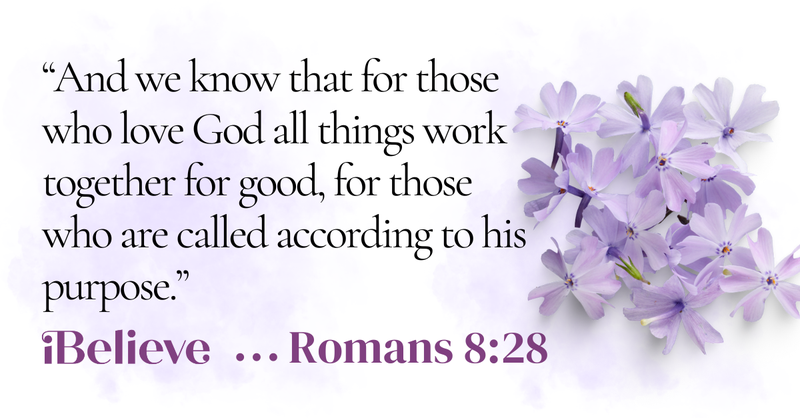 A decorative iBelieve Bible verse graphic displays Romans 8:28, reminding readers that God works all things together for good for those who love Him and are called according to His purpose, accented with soft purple flowers.