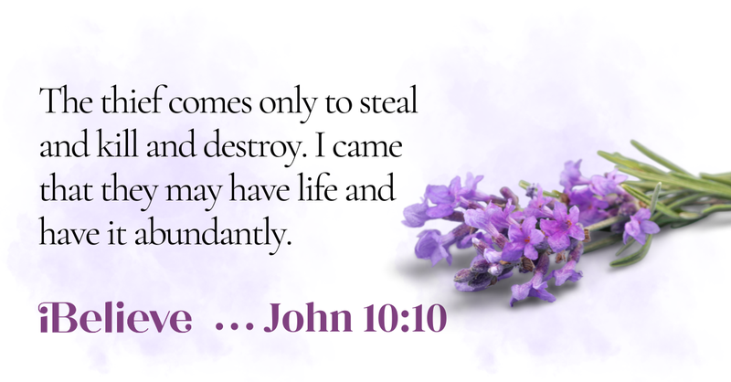 A decorative iBelieve Bible verse graphic displays John 10:10, where Jesus promises abundant life, accented with a sprig of purple lavender on a soft watercolor background.