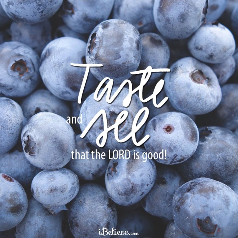 Your Daily Verse - Psalm 34:8